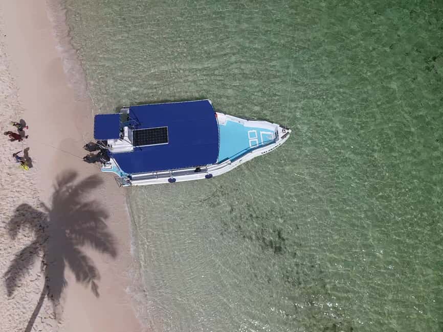 From Punta Cana: Small Group Catalina Island Snorkeling Tour - Who should book this Catalina Island trip?