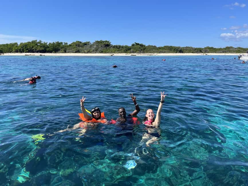 From Punta Cana: Small Group Catalina Island Snorkeling Tour - The Wall: deeper water and colorful fish