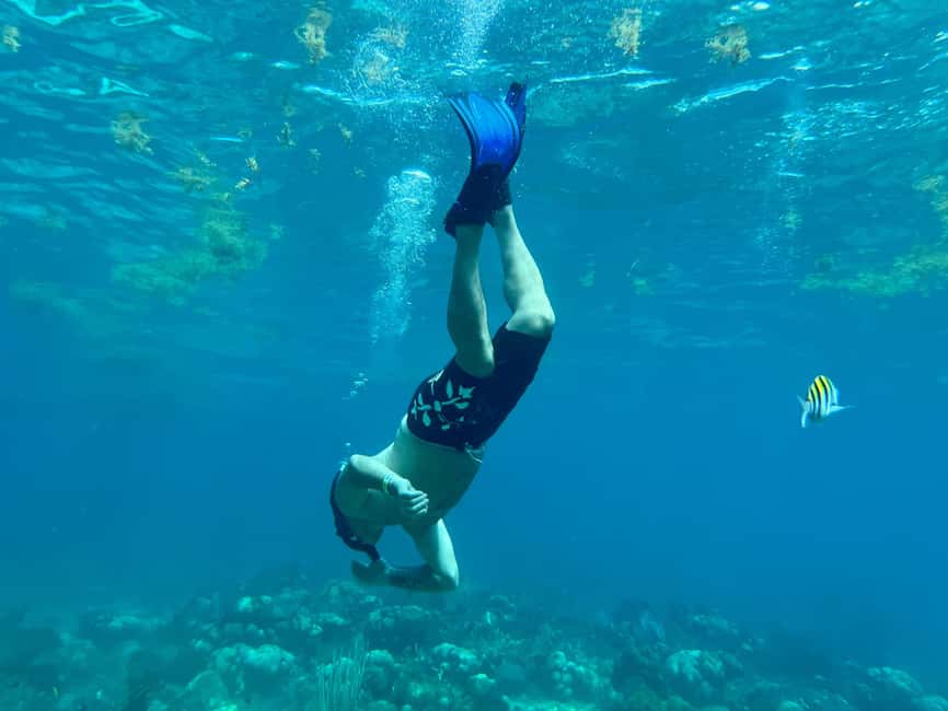 From Punta Cana: Small Group Catalina Island Snorkeling Tour - The natural pool and the Chavón River