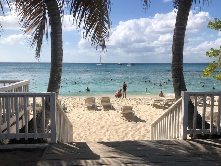 From Punta Cana: Small Group Catalina Island Snorkeling Tour - Languages, guides, and the feel of the day