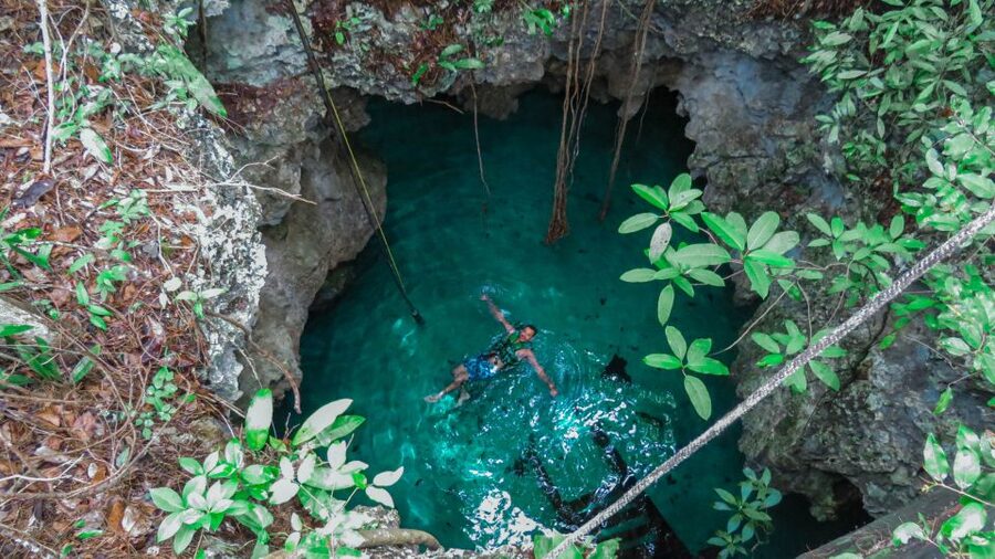 From Riviera Maya: Snorkeling & Private Cenote Half-Day Tour - What the $169 price really covers