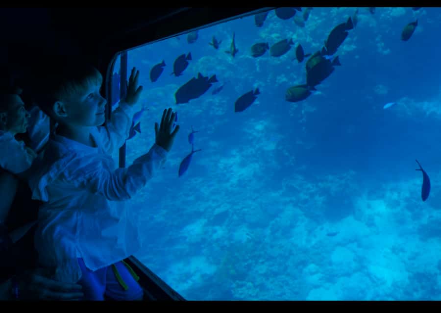 From Safaga: Royal Seascope Submarine with Snorkeling - Inside the Royal Seascope’s glass cabin