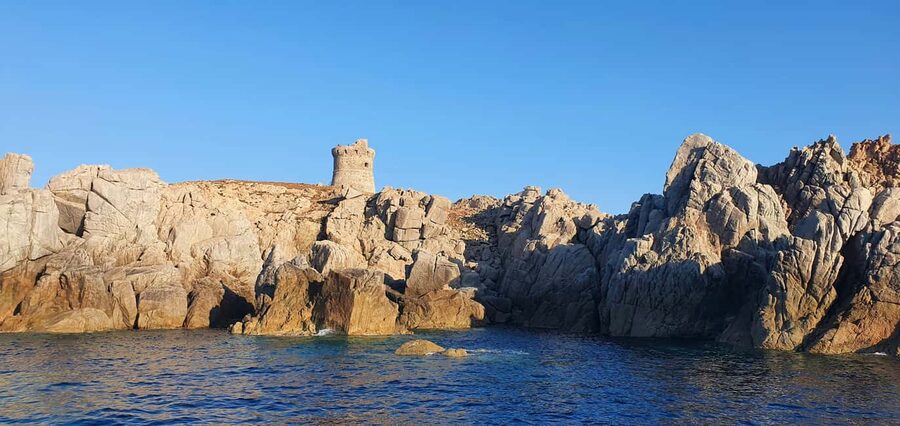 From Sagone/Cargèse: Piana Sea Caves & Snorkeling Boat Tour - Key details before you book