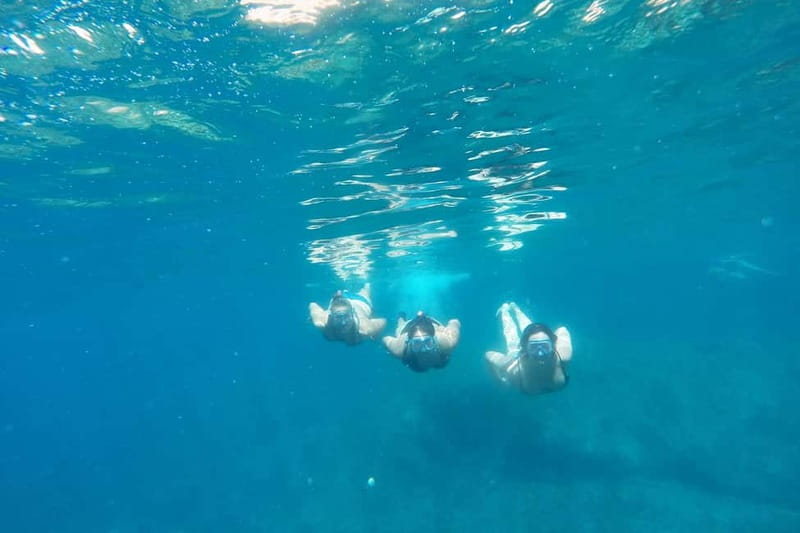 From Sant Feliu de Guíxols: Kayak and Snorkel in Costa Brava - Twenty minutes of snorkeling in a sheltered cove