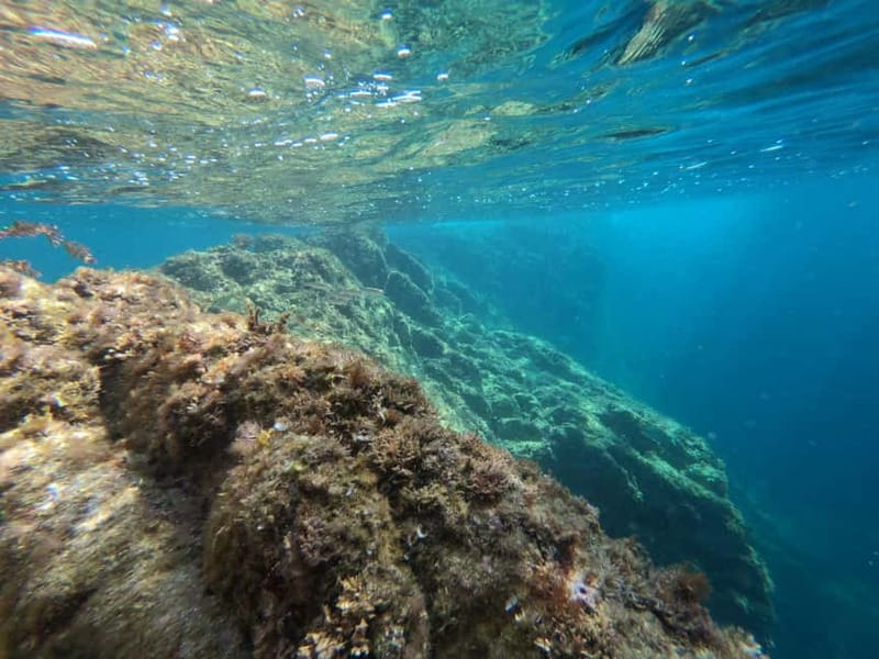 From Sant Feliu de Guíxols: Kayak and Snorkel in Costa Brava - Who will enjoy this most