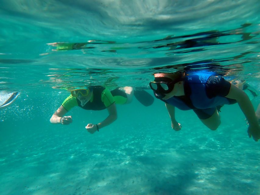 From Santa Pola: Snorkel Trip in Tabarca Island - Exploring Tabarca’s coves, beaches, and port areas