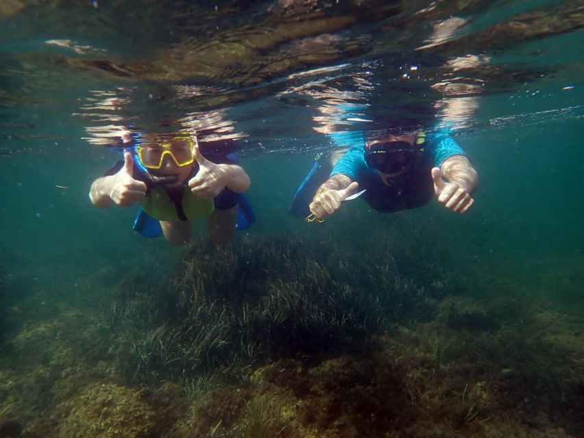 From Santa Pola: Snorkel Trip in Tabarca Island - What the three-hour timing really means
