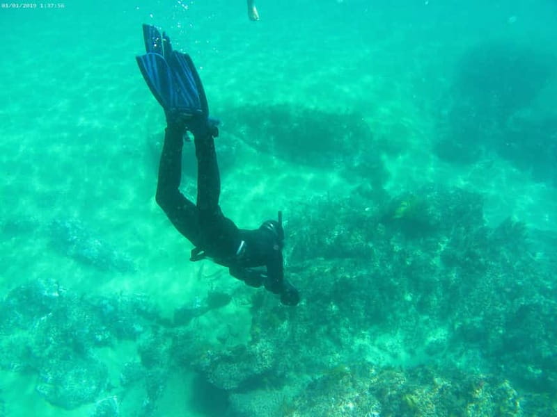 From Sesimbra: Sea Scooter Snorkeling boat Tour - First water stop: 45 minutes in the marine park