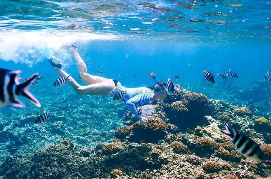 From Sharm: Ras Mohammed snorkeling cruise & optional diving - A second look at the Red Sea