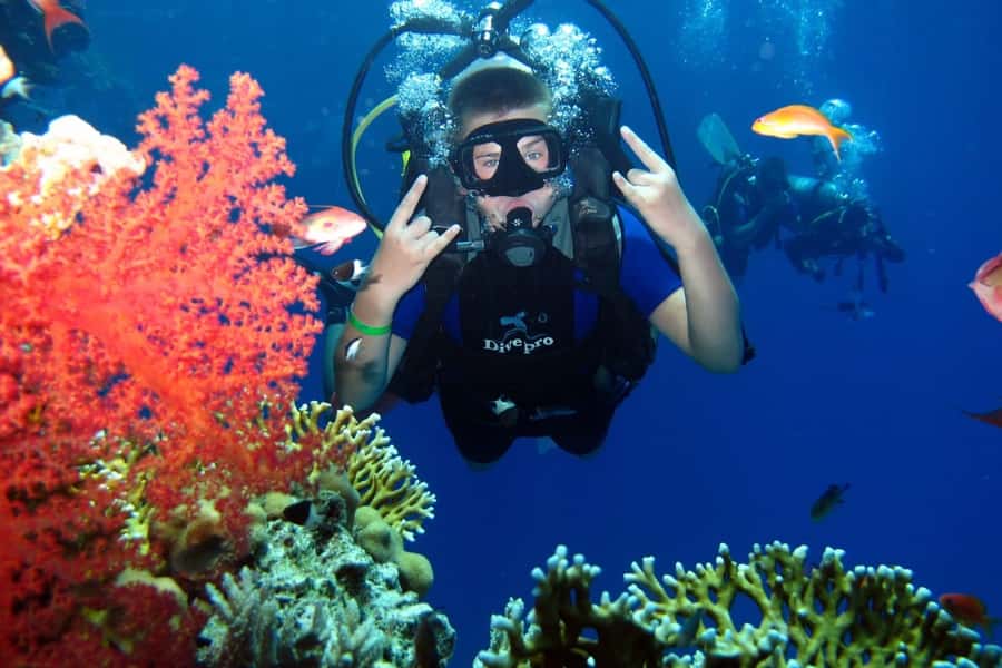 From Sharm: Ras Mohammed snorkeling cruise & optional diving - Lunch on the yacht