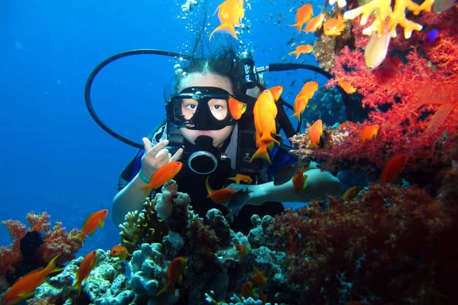 From Sharm: Ras Mohammed snorkeling cruise & optional diving - What $31 really buys you