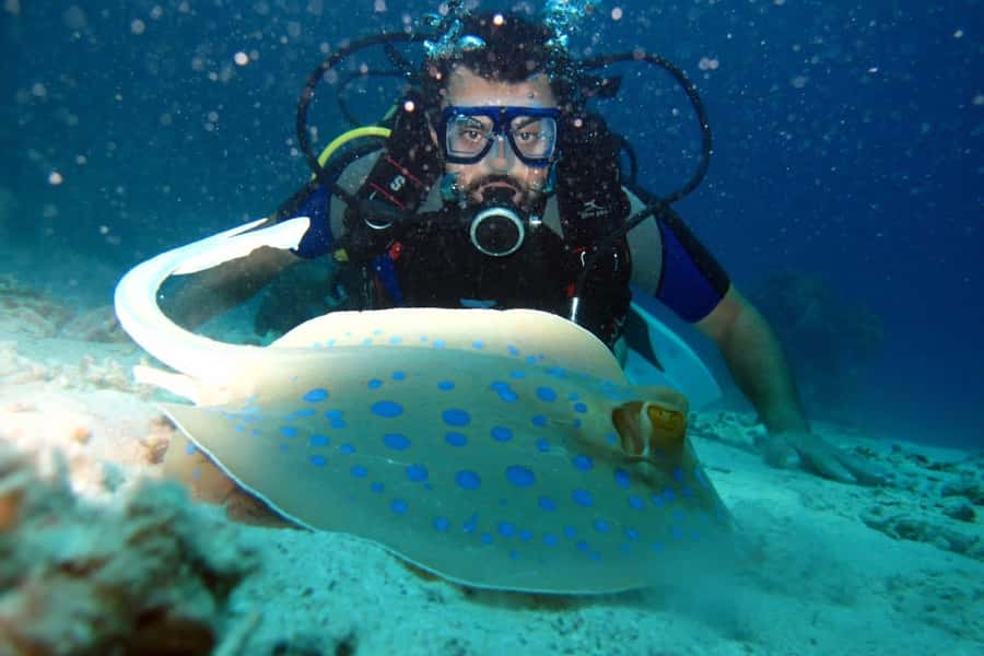 From Sharm: Ras Mohammed snorkeling cruise & optional diving - Who will enjoy this cruise most