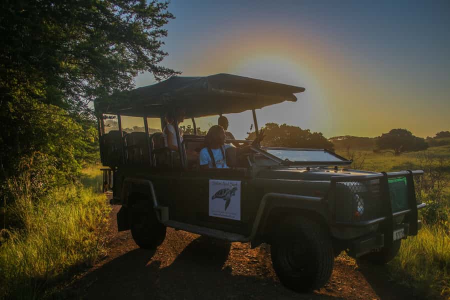 From St Lucia: Cape Vidal Full-Day Snorkeling Safari - Starting from St Lucia in an open game drive vehicle