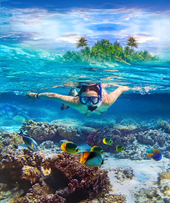 From Uppuveli Beach: Pigeon Island Snorkeling Tour - Reaching Pigeon Island National Park