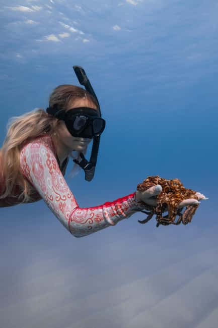 From Waikiki: Turtle Canyon Snorkeling Tour - Timing, group size, and the small drawbacks