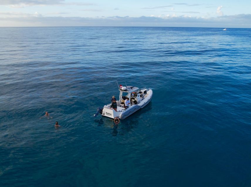 From Waikiki: Turtle Canyon Snorkeling Tour - Should you book this Turtle Canyon snorkeling trip?