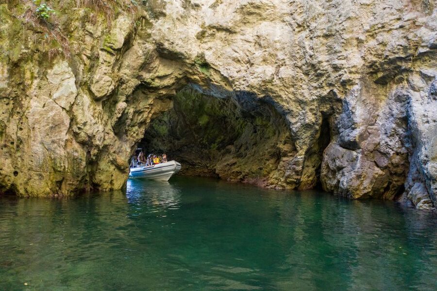 From Whitianga: Cathedral Cove Cruise with Snorkeling - Why this Whitianga cruise feels different