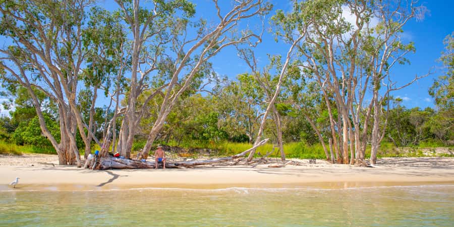 From Yeppoon: Great Keppel Island Snorkeling Hire with Lunch - Key points to know before you book