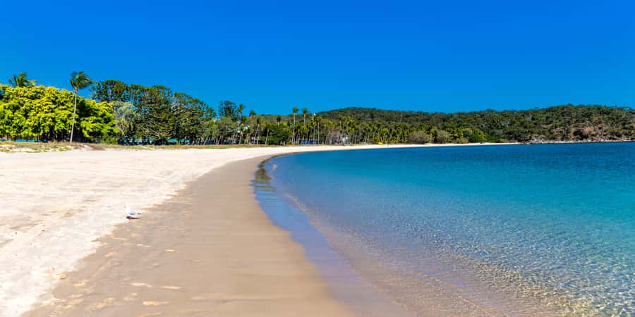 From Yeppoon: Great Keppel Island Snorkeling Hire with Lunch - Who will enjoy this day most