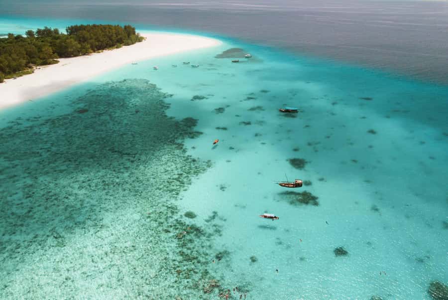 From Zanzibar: Mnemba Boat Tour with Snorkeling & Dolphine - Starting from Nungwi or Kendwa at 8:00 AM