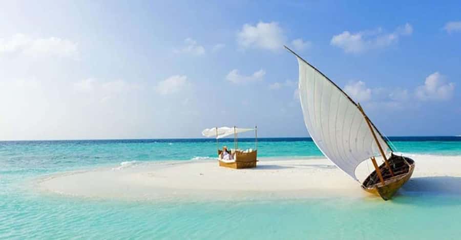 From Zanzibar: Safari Blue Snorkeling Trip with Lunch - Lagoons, mangroves, and possible dolphin sightings