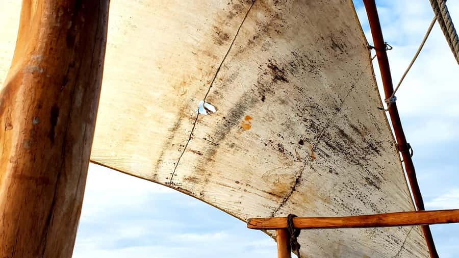 From Zanzibar: Safari Blue Snorkeling Trip with Lunch - Practical tips for a smoother day