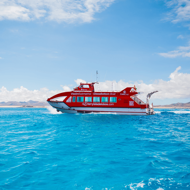Fuerteventura: 1-Hour Mini Swim & Snorkel Cruise - Meeting the boat at Corralejo Port