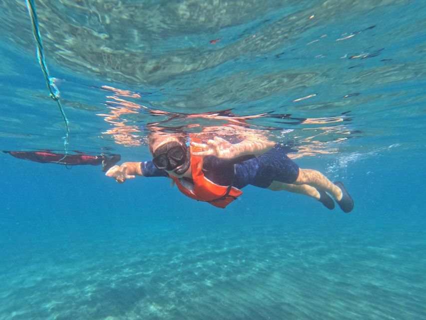 Fuerteventura: Guided Snorkeling in La Lajita with Pickup - The briefing makes the first attempt easier