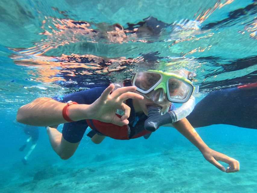 Fuerteventura: Guided Snorkeling in La Lajita with Pickup - Photos are a useful extra, not part of the price