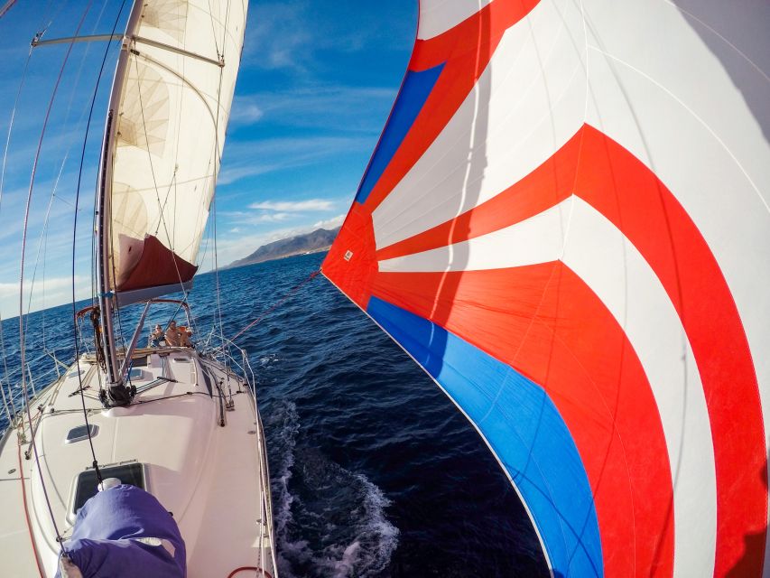 Fuerteventura: Sailing with Snorkeling and Dolphin Watching - Is Fuerteventura sailing with snorkeling worth booking?