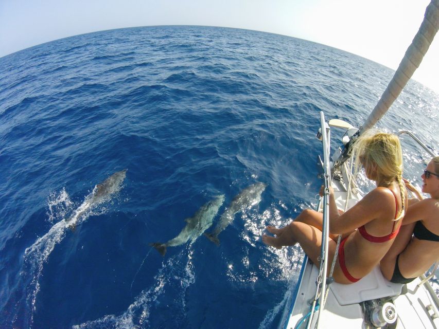 Fuerteventura: Sailing with Snorkeling and Dolphin Watching - Tapas, wine, and a relaxed ride home