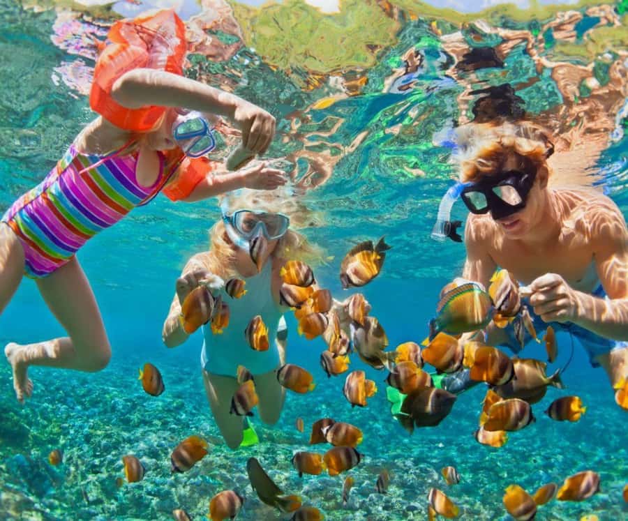 Full Day Barú island: Mangrove +Snorkel + Sunset + Plankton - From Cartagena to Freedom Beach Club