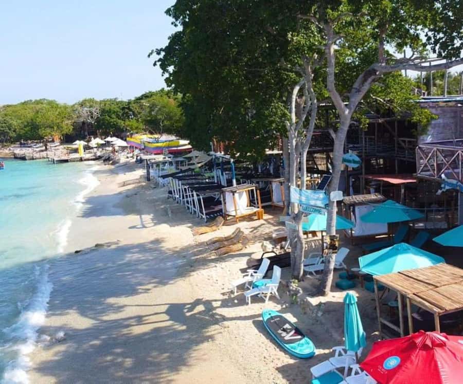 Full Day Barú island: Mangrove +Snorkel + Sunset + Plankton - Coconut rice, fried fish, and lunch