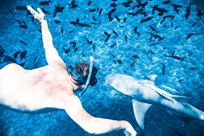 Full-Day Bora Bora Lagoon Cruise Including Snorkeling with Sharks and Stingrays - The manta ray search and the luck factor