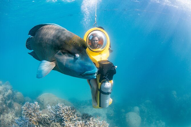 Full-Day Great Barrier Reef Pontoon with Snorkeling & Activities - Scuba-Doo, scuba, and helicopter add-ons