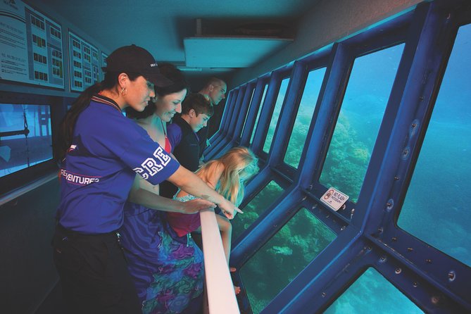 Full-Day Great Barrier Reef Pontoon with Snorkeling & Activities - What the coral may look like