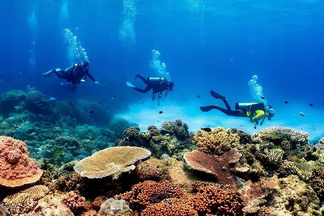 Full-Day Great Barrier Reef Pontoon with Snorkeling & Activities - Is $214.46 good value?