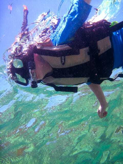 Full-Day Guided Snorkeling Tour from Kota Kinabalu - From Kota Kinabalu Jetty to the South China Sea