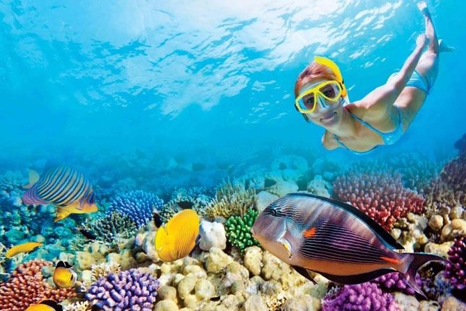 Full-Day Key West Tour and Coral Reef Snorkeling with Open Bar - The early ride from Miami to the Keys