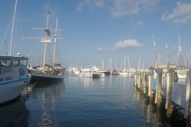 Full-Day Key West Tour and Coral Reef Snorkeling with Open Bar - Is $99 a good value?
