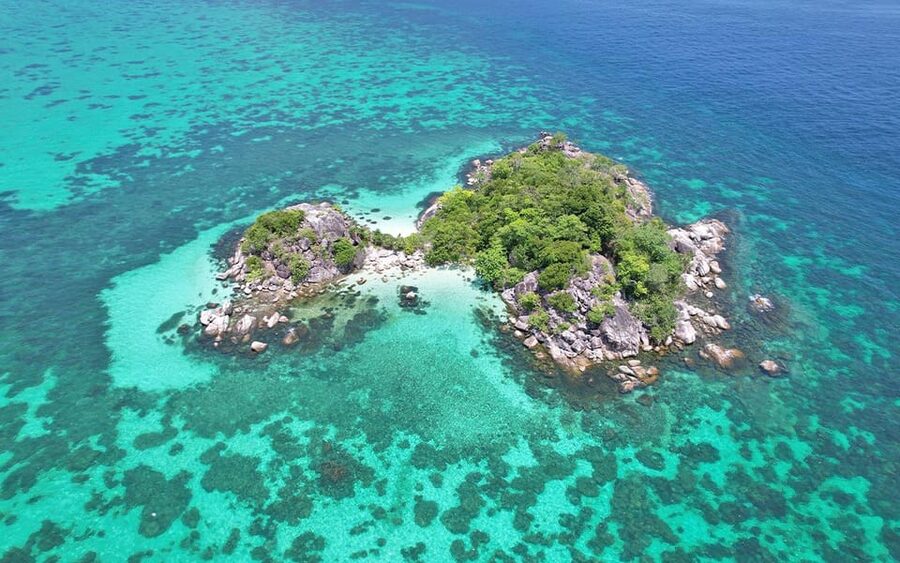 Full-Day Koh Lipe 5 points Snorkeling (East Zone) with Lunch - Koh Usen at 11:00: hard coral near Koh Lipe