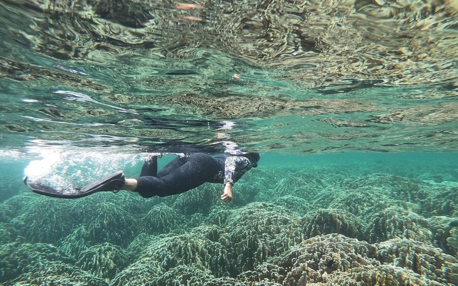Full-Day Koh Lipe 7 points Snorkeling Experience with Lunch - Koh Phueng and the final coral stop