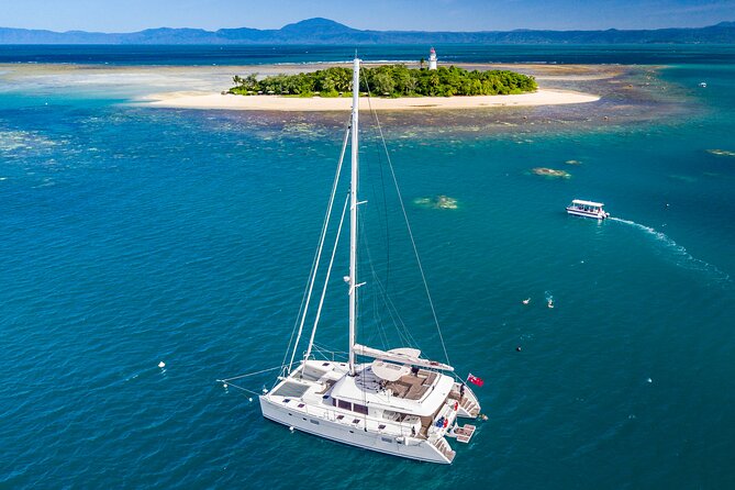 Full Day Low Isles Sailing & Snorkelling Cruise from Port Douglas - Why the small boat changes the day