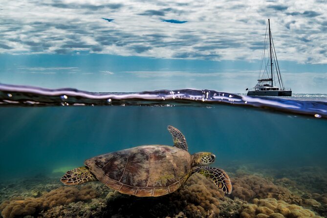 Full Day Low Isles Sailing & Snorkelling Cruise from Port Douglas - Weather, comfort, and practical limits