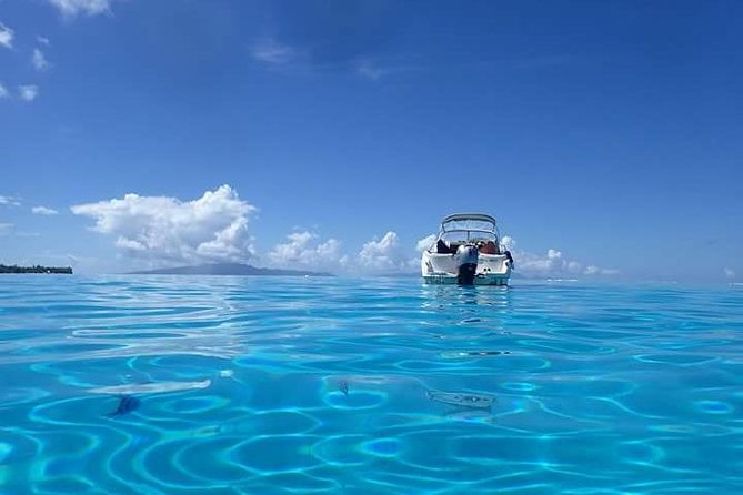 Full-Day Private Boat Tour of Bora Bora Lagoon with Snorkel - Is $1,400 Good Value for Four People?