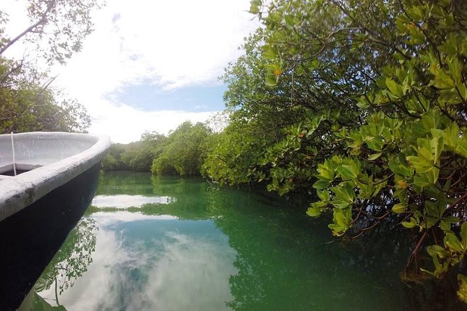 Full-Day Tour to Punta Rucia and Cayo Arena with Snorkeling - The Mangroves by Speedboat