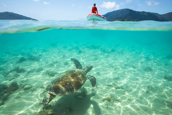 Full-Day Whitsunday Sail and Snorkel Adventure with Lunch - Beach time, a banana boat, and island views