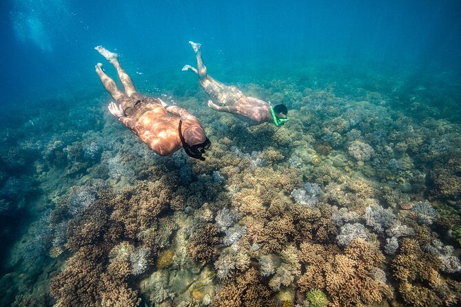 Full-Day Whitsunday Sail and Snorkel Adventure with Lunch - Lunch, snacks, and drinks on the Tongarra