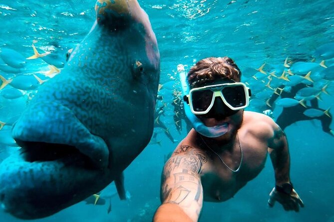 Full-Day Whitsunday Sail and Snorkel Adventure with Lunch - Sunset on the return to Airlie Beach