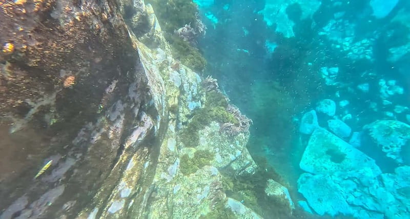Funchal: Kayak and Snorkel Tour to Garajau NR - Praia do Lazareto and the marine reserve